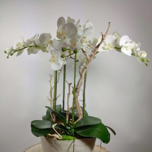 VegetalTrend_Arrangement Floral Orchidee 1