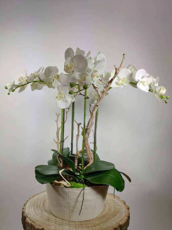 VegetalTrend_Arrangement Floral Orchidee 1
