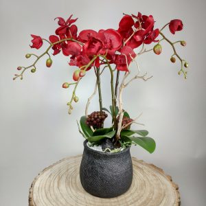 VegetalTrend Arrangement Floral Orchidee 2