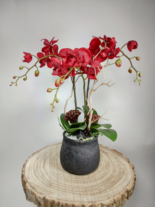 VegetalTrend Arrangement Floral Orchidee 2