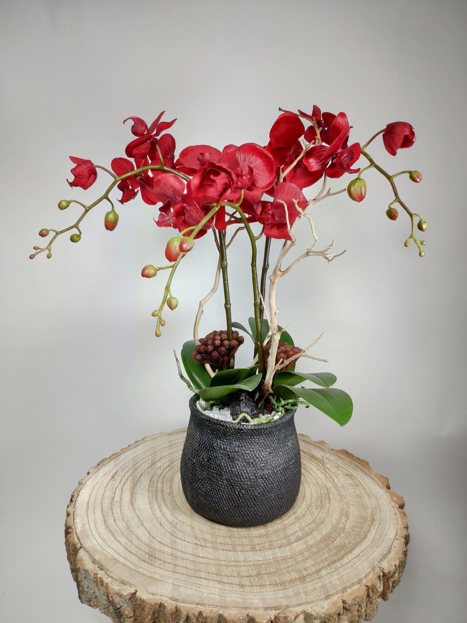 https://www.vegetaltrend.ch/wp-content/uploads/2022/02/VegetalTrend_ArrangementFloralOrchidee1.2-scaled.jpg