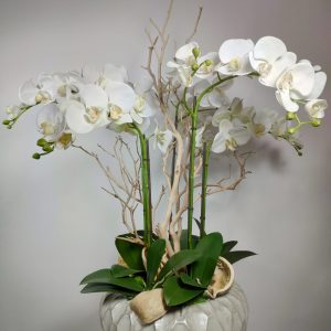 VegetalTrend Arrangement Floral Orchidee 3