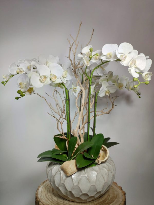 VegetalTrend Arrangement Floral Orchidee 3