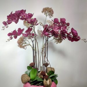VegetalTrend Arrangement Floral Orchidee 4