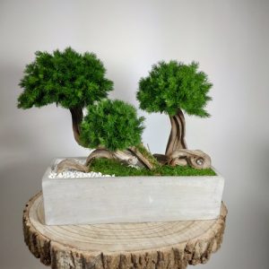 VegetalTrend Jardiniere Ming